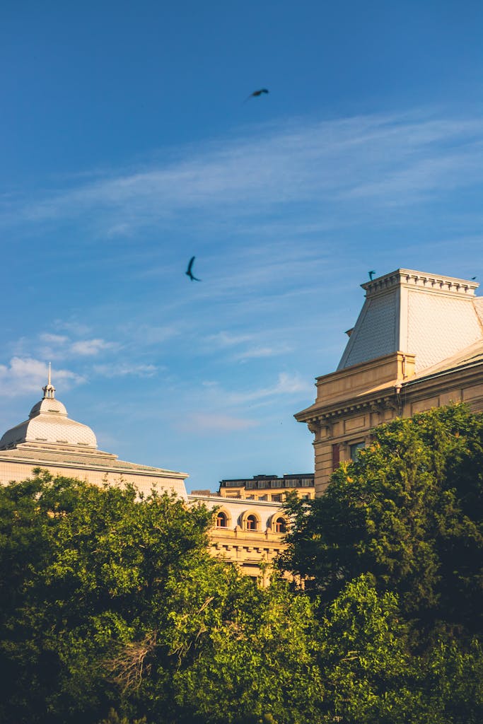 Free stock photo of ancient city, azerbaijan, building